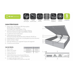 Sommier Coffre FLORO SOMOUEST